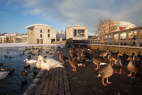 Altstadt Reykjavik Island Altstadt Reykjavik Island