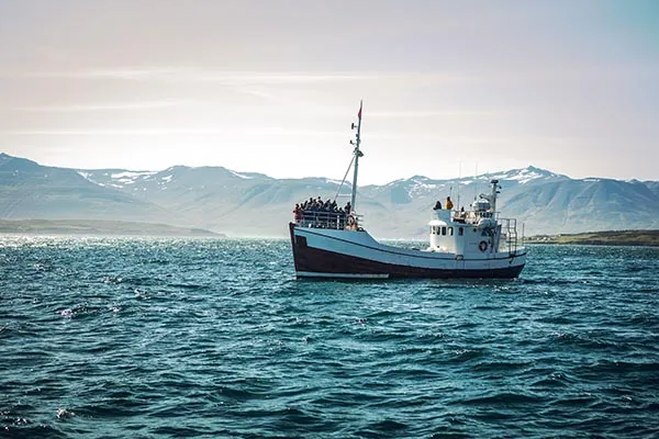 Reykjavik besuchen Reykjavik besuchen